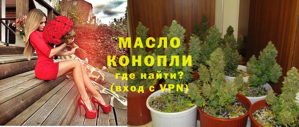 крисы Армянск