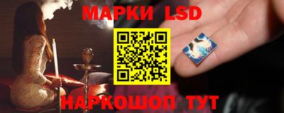 ECSTASY Обь