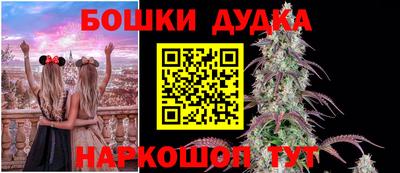 ECSTASY Обь