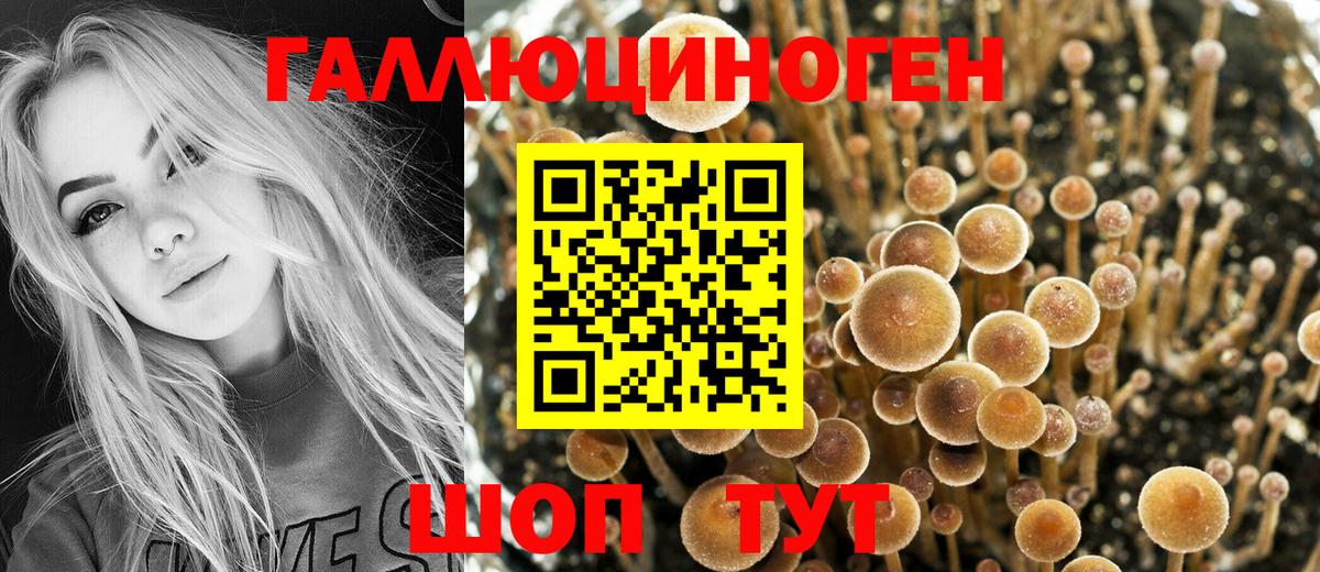 Ульяновск  Галлюциногенные грибы прущие грибы  Вход с VPN 